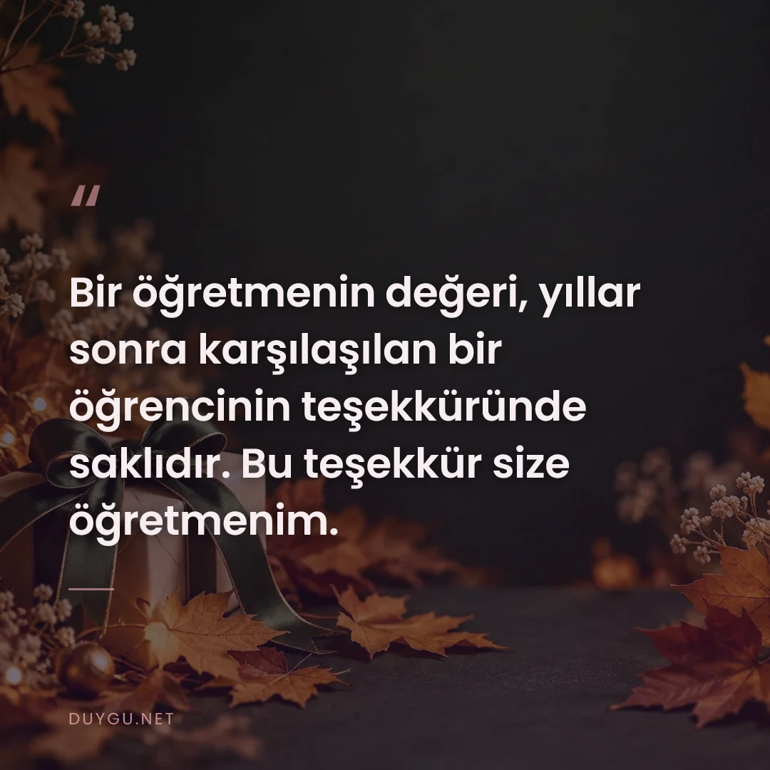 Resimli söz: Bir öğretmenin değeri, yıllar sonra karşılaşılan bir öğrencinin teşekk