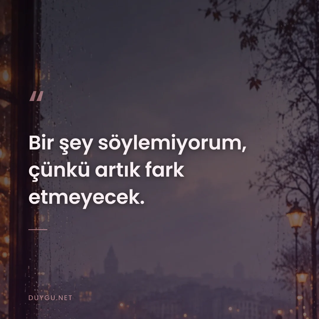 Resimli söz: Bir şey söylemiyorum, çünkü artık fark etmeyecek.