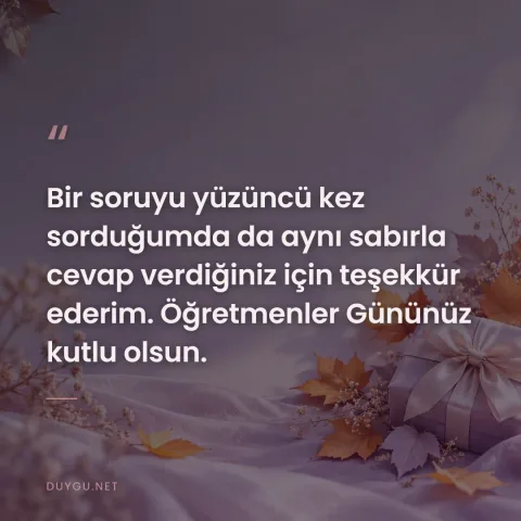 Bir soruyu yüzüncü kez sorduğumda da aynı sabırla cevap verdiğiniz için teşekkür ederim. Öğretmenler Gününüz kutlu olsun.