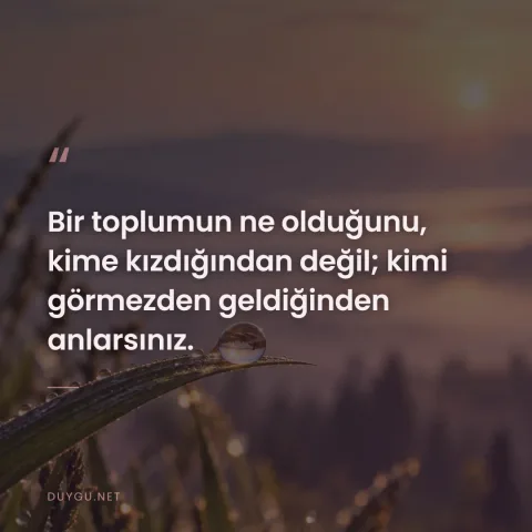 Bir toplumun ne olduğunu, kime kızdığından değil; kimi görmezden geldiğinden anlarsınız.
