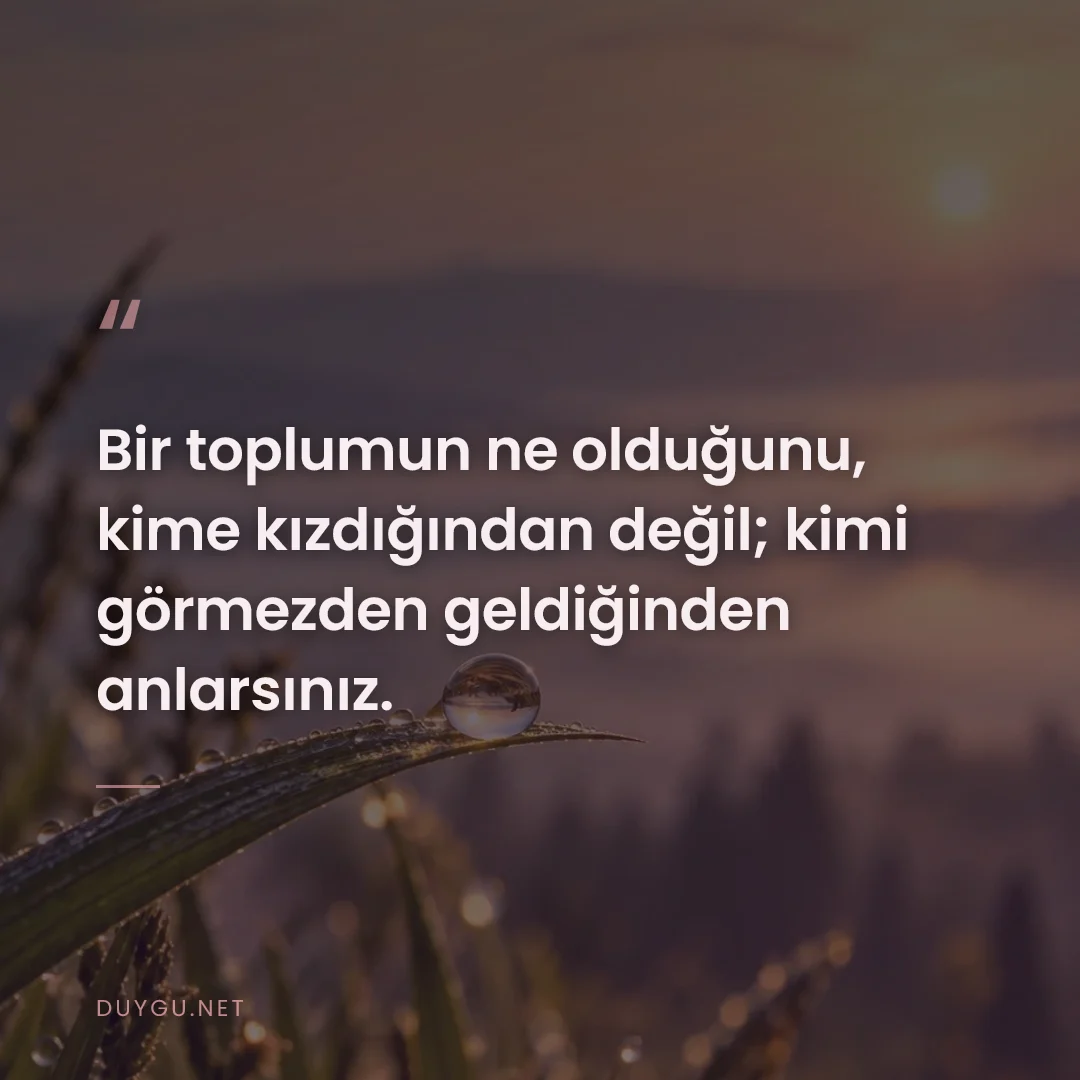Resimli söz: Bir toplumun ne olduğunu, kime kızdığından değil; kimi görmezden geldi