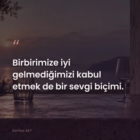 Birbirimize iyi gelmediğimizi kabul etmek de bir sevgi biçimi.