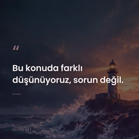 Bu konuda farklı düşünüyoruz, sorun değil.