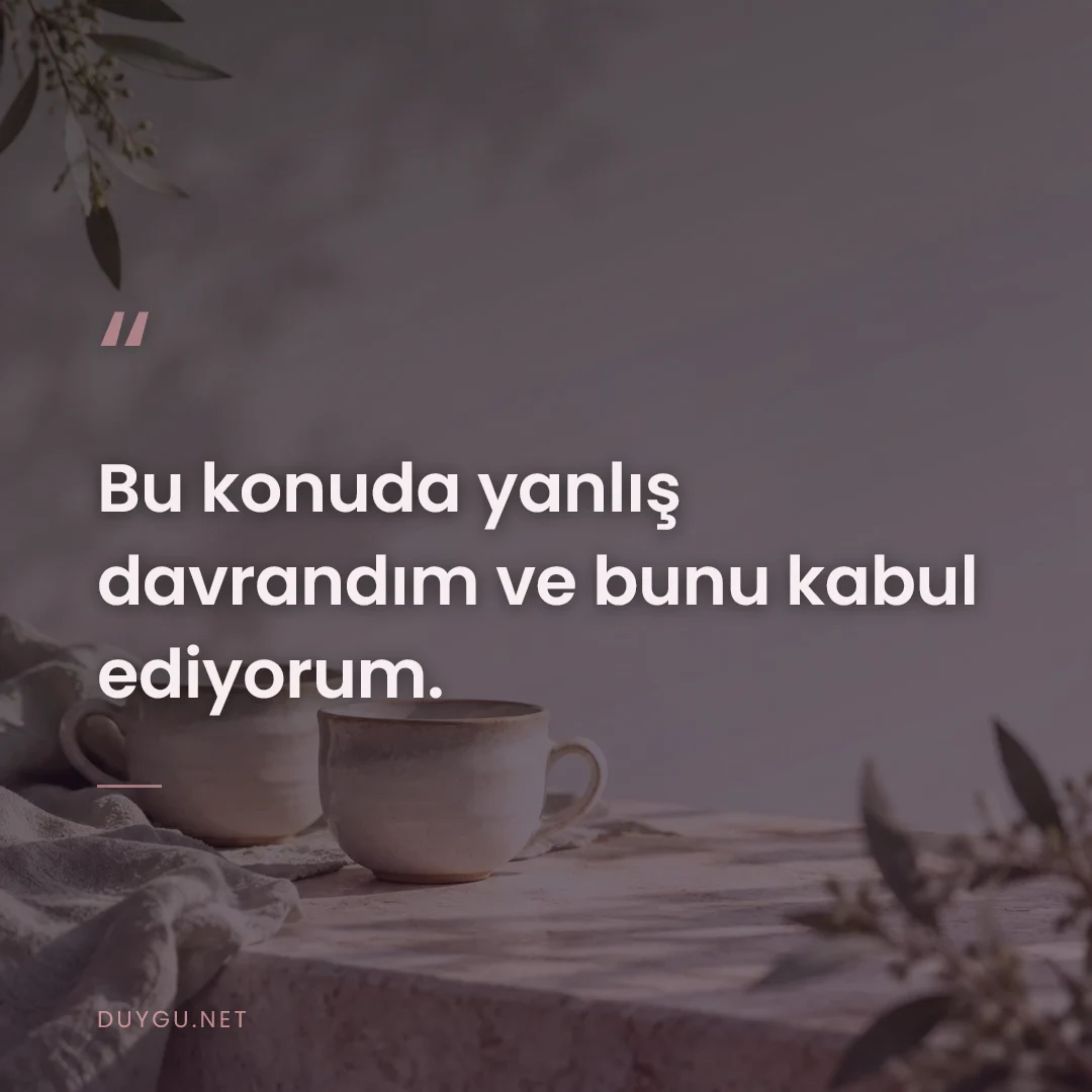 Resimli söz: Bu konuda yanlış davrandım ve bunu kabul ediyorum.