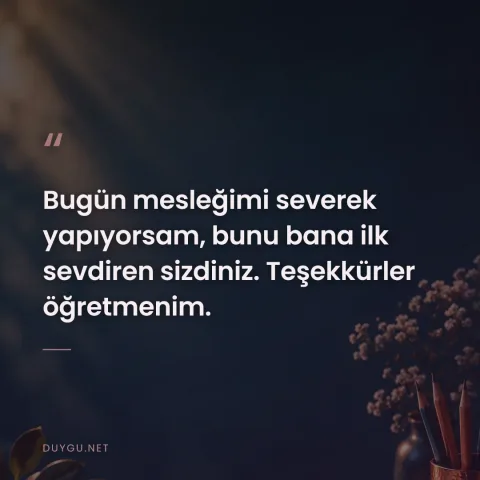 Bugün mesleğimi severek yapıyorsam, bunu bana ilk sevdiren sizdiniz. Teşekkürler öğretmenim.