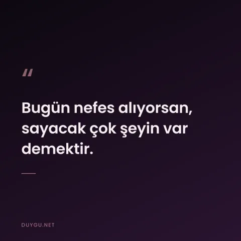 Bugün nefes alıyorsan, sayacak çok şeyin var demektir.