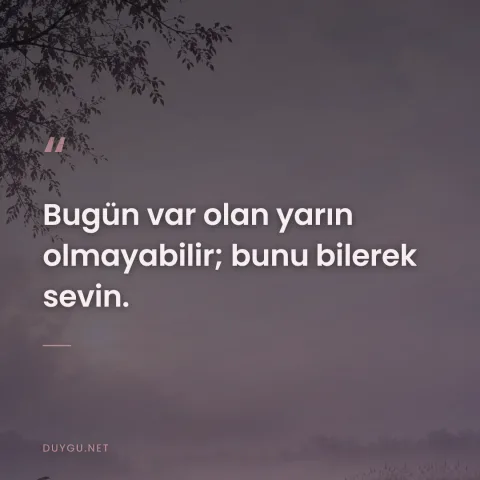 Bugün var olan yarın olmayabilir; bunu bilerek sevin.