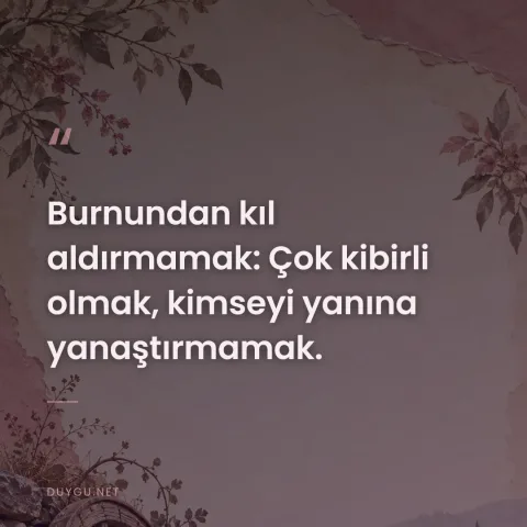Burnundan kıl aldırmamak: Çok kibirli olmak, kimseyi yanına yanaştırmamak.