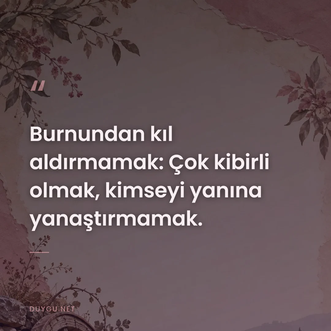 Resimli söz: Burnundan kıl aldırmamak: Çok kibirli olmak, kimseyi yanına yanaştırma