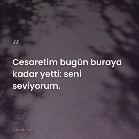 Cesaretim bugün buraya kadar yetti: seni seviyorum.