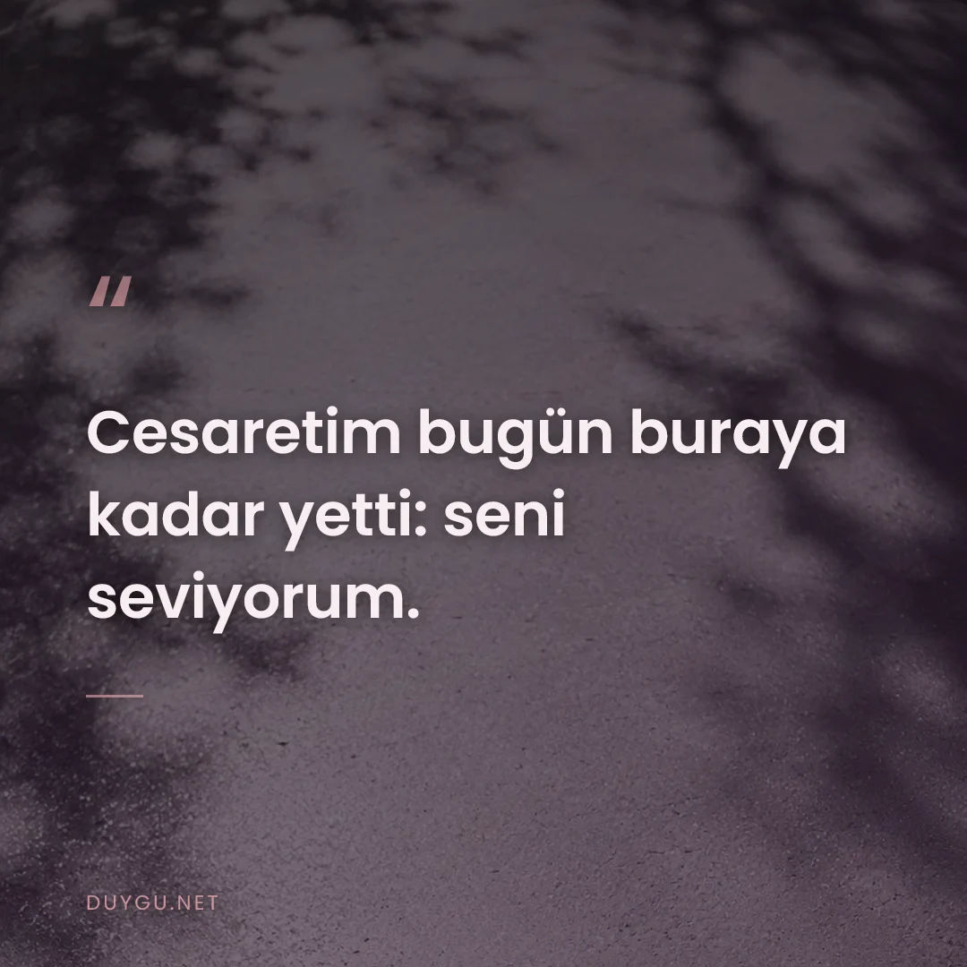 Resimli söz: Cesaretim bugün buraya kadar yetti: seni seviyorum.