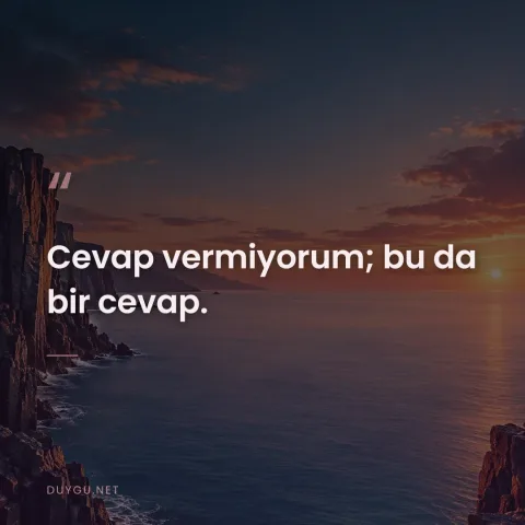 Cevap vermiyorum; bu da bir cevap.