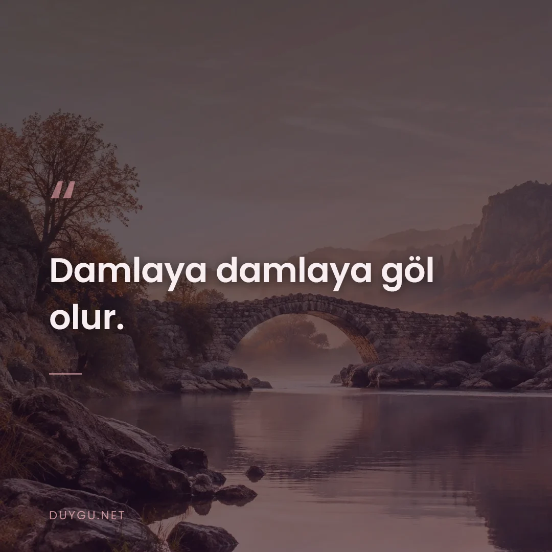 Resimli söz: Damlaya damlaya göl olur.