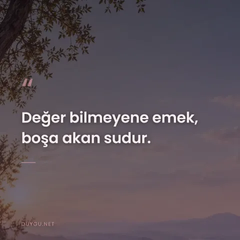 Değer bilmeyene emek, boşa akan sudur.