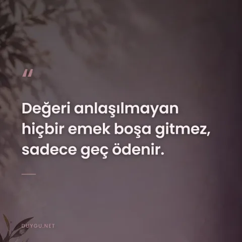Değeri anlaşılmayan hiçbir emek boşa gitmez, sadece geç ödenir.