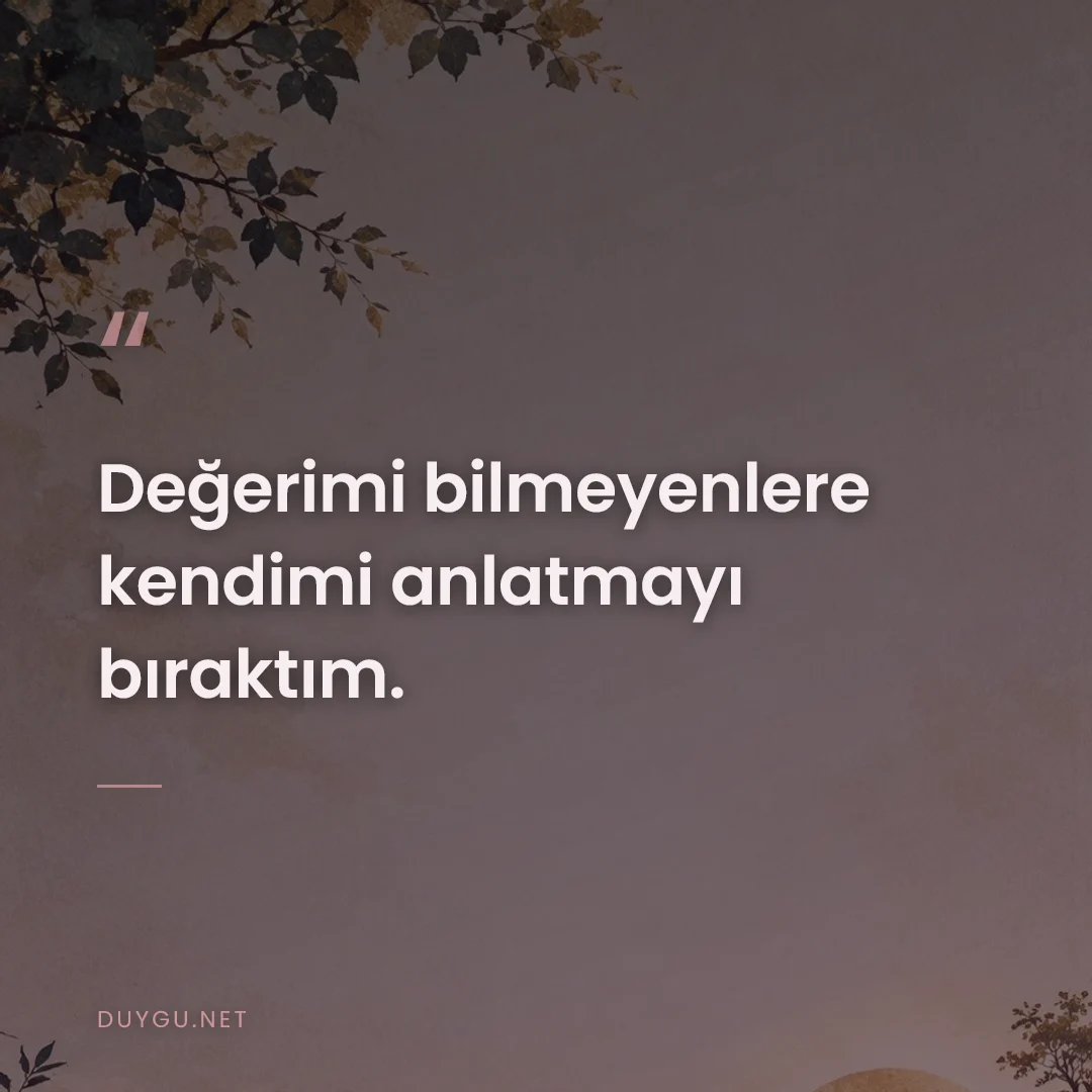 Resimli söz: Değerimi bilmeyenlere kendimi anlatmayı bıraktım.