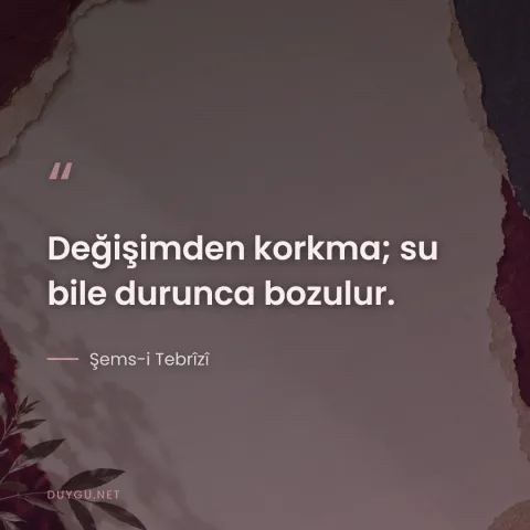 Değişimden korkma; su bile durunca bozulur. — Şems-i Tebrîzî