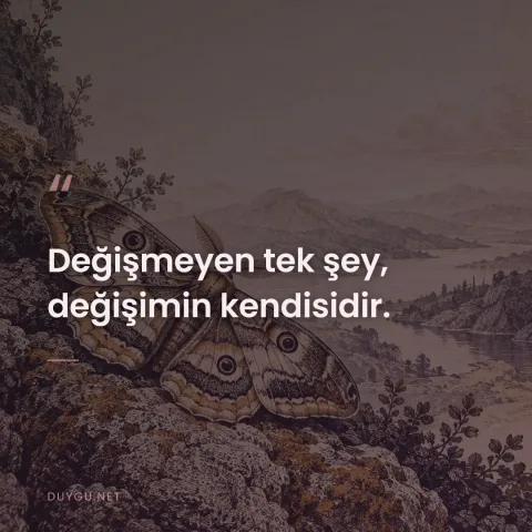 Değişmeyen tek şey, değişimin kendisidir.