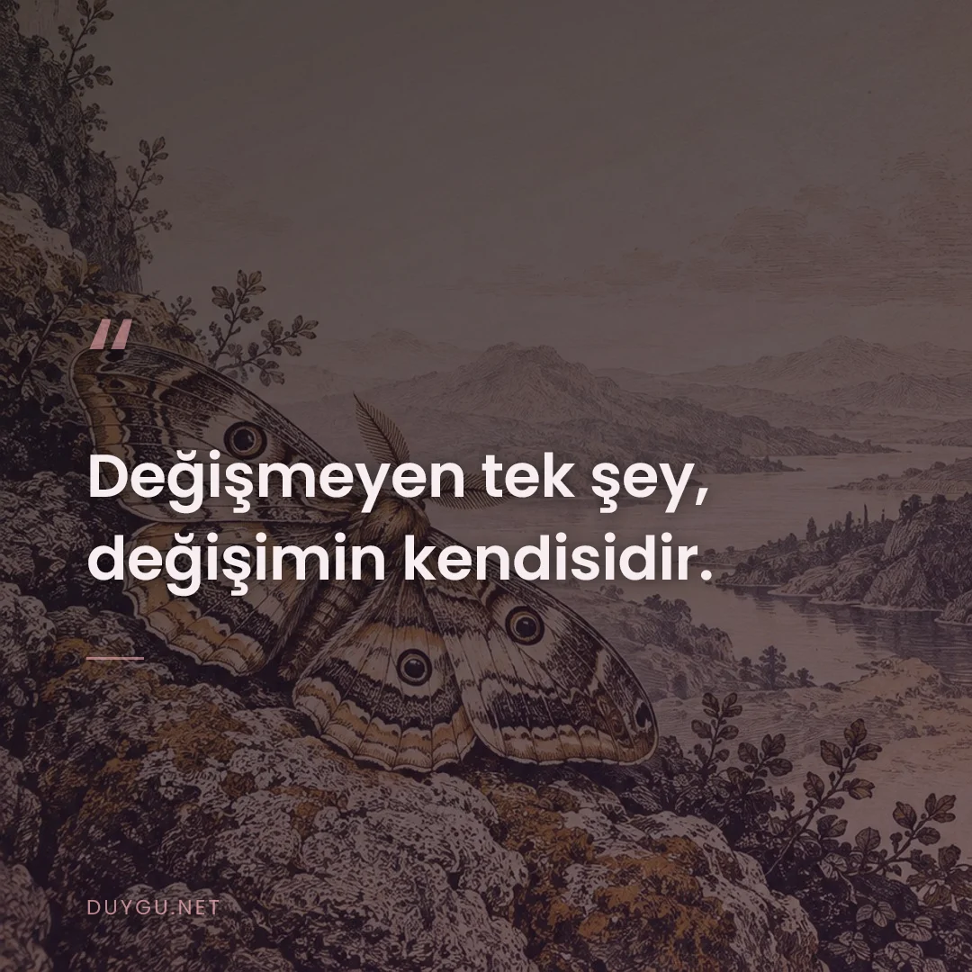 Resimli söz: Değişmeyen tek şey, değişimin kendisidir.