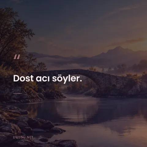 Dost acı söyler.