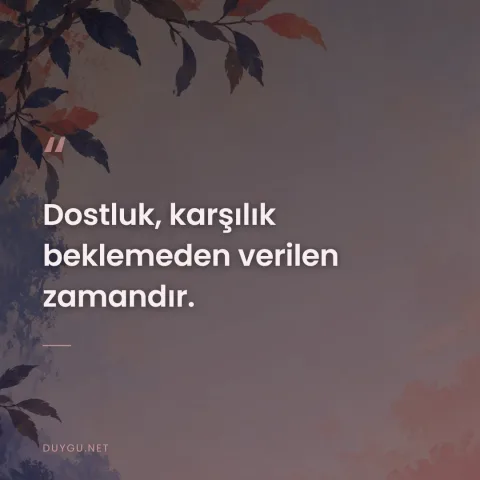 Dostluk, karşılık beklemeden verilen zamandır.