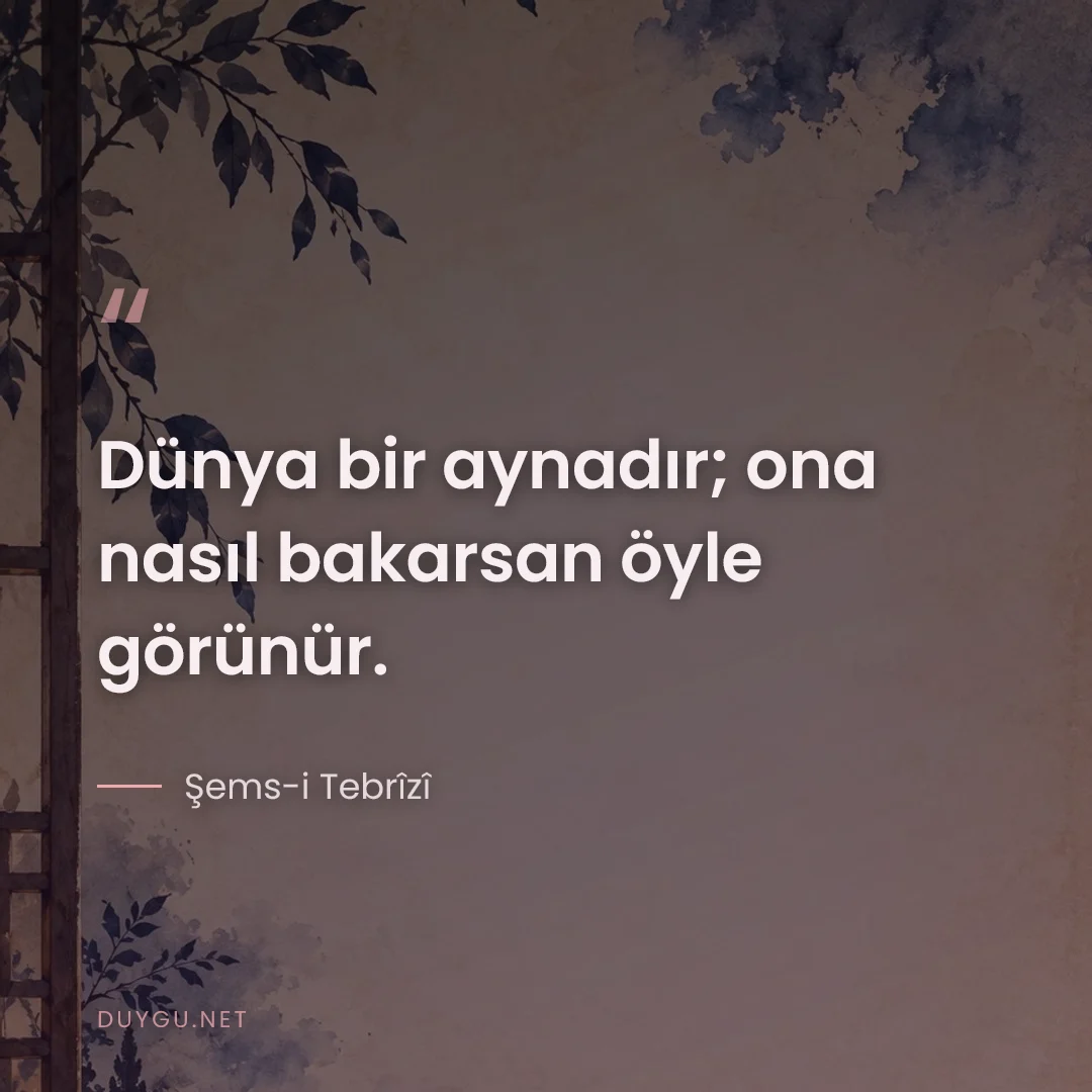 Resimli söz: Dünya bir aynadır; ona nasıl bakarsan öyle görünür.