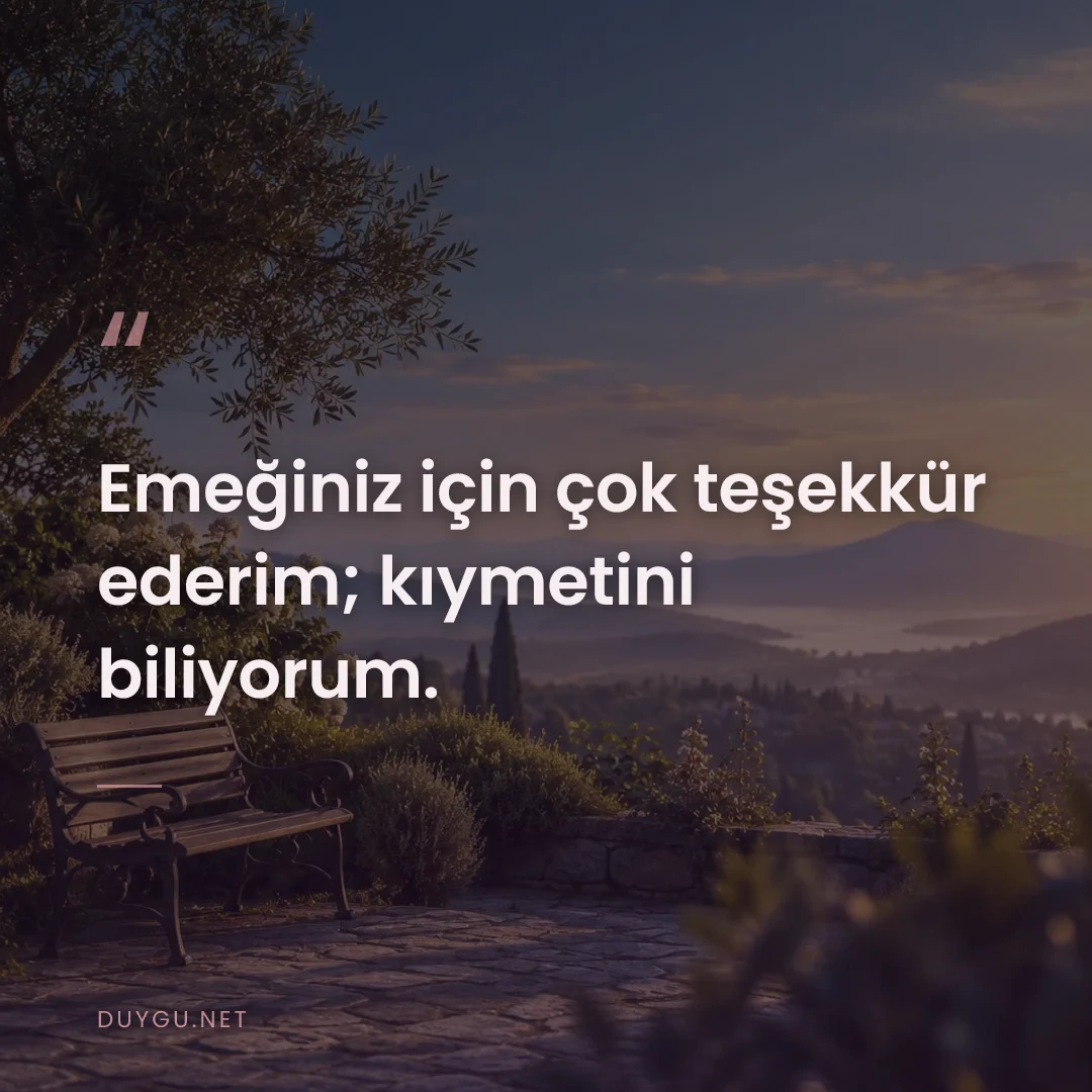Resimli söz: Emeğiniz için çok teşekkür ederim; kıymetini biliyorum.