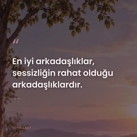 En iyi arkadaşlıklar, sessizliğin rahat olduğu arkadaşlıklardır.