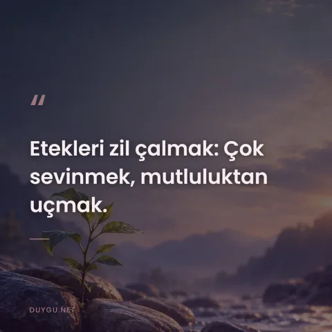 Etekleri zil çalmak: Çok sevinmek, mutluluktan uçmak.