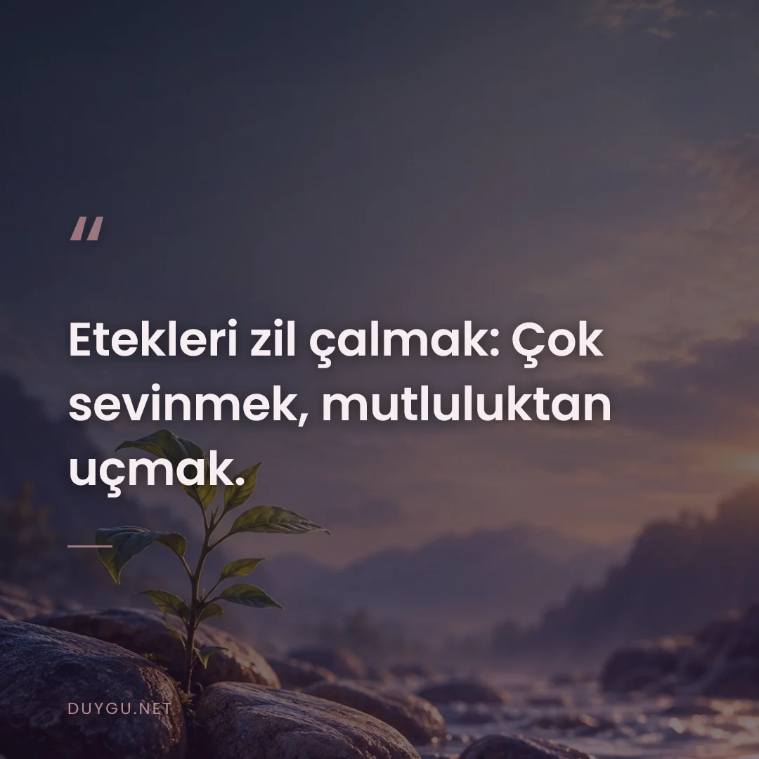 Resimli söz: Etekleri zil çalmak: Çok sevinmek, mutluluktan uçmak.