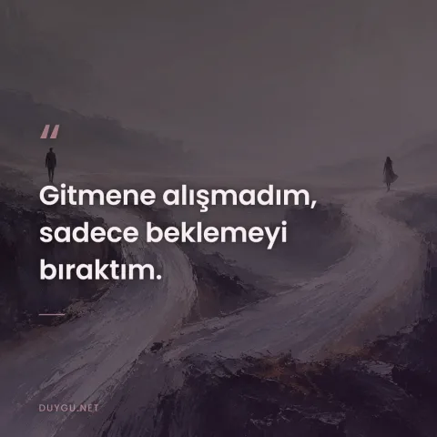 Gitmene alışmadım, sadece beklemeyi bıraktım.