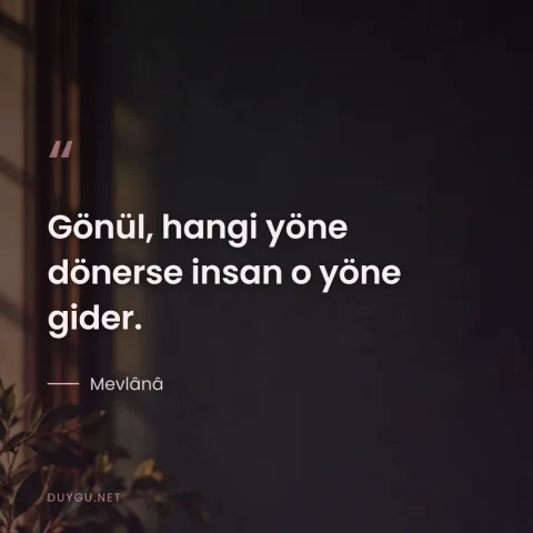 Gönül, hangi yöne dönerse insan o yöne gider. — Mevlânâ