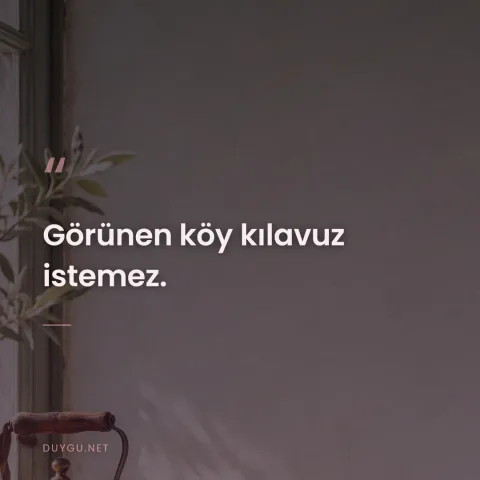 Görünen köy kılavuz istemez.