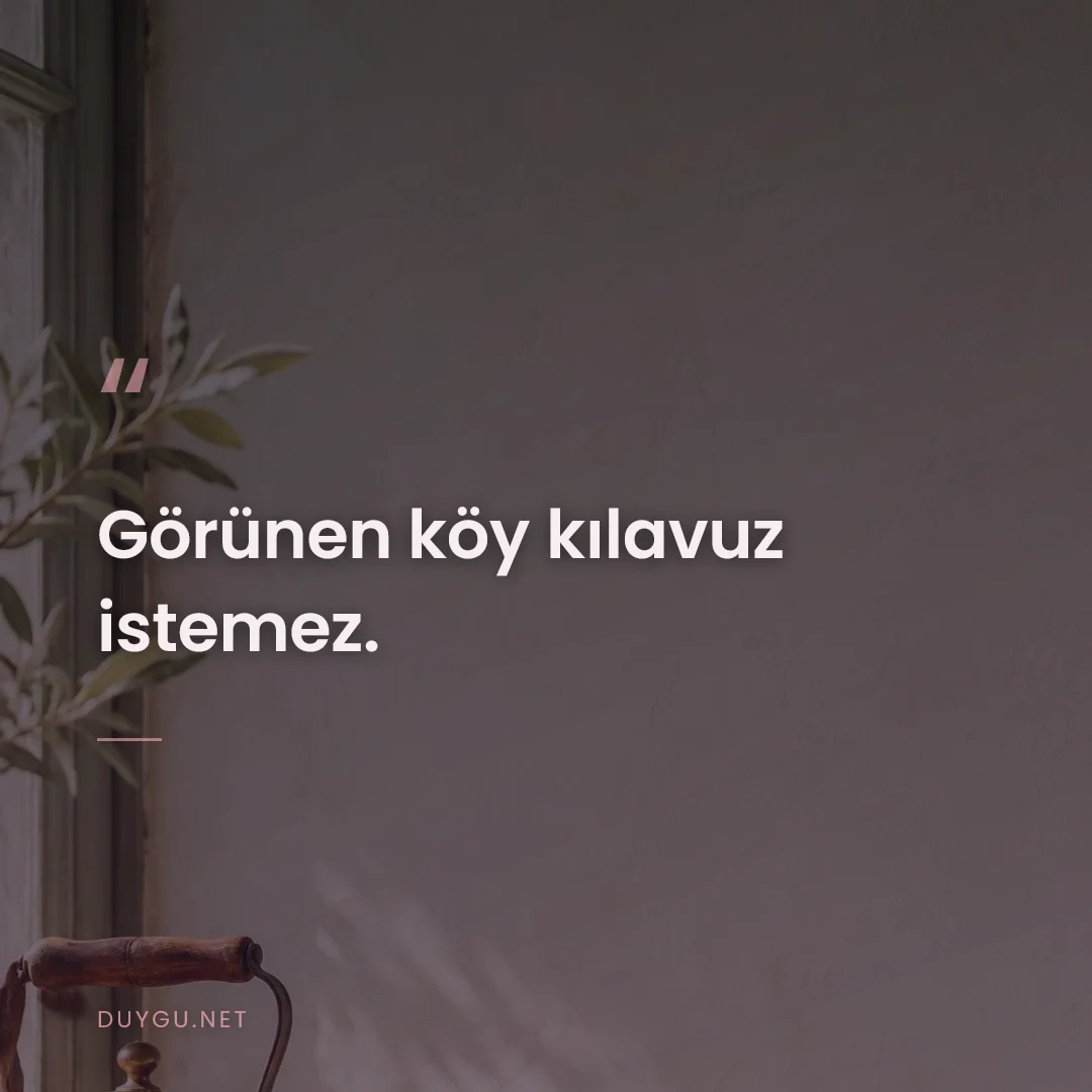 Resimli söz: Görünen köy kılavuz istemez.