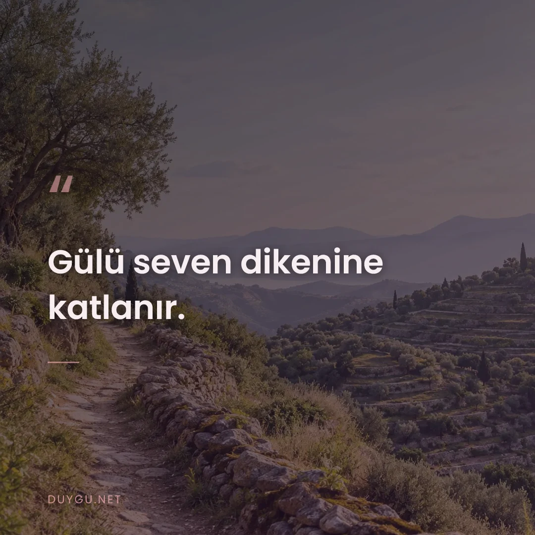 Resimli söz: Gülü seven dikenine katlanır.