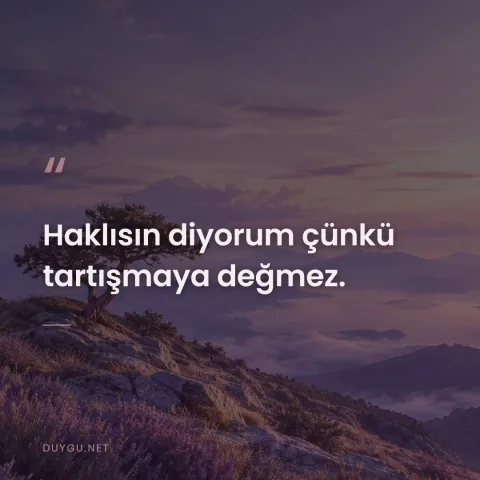 Haklısın diyorum çünkü tartışmaya değmez.
