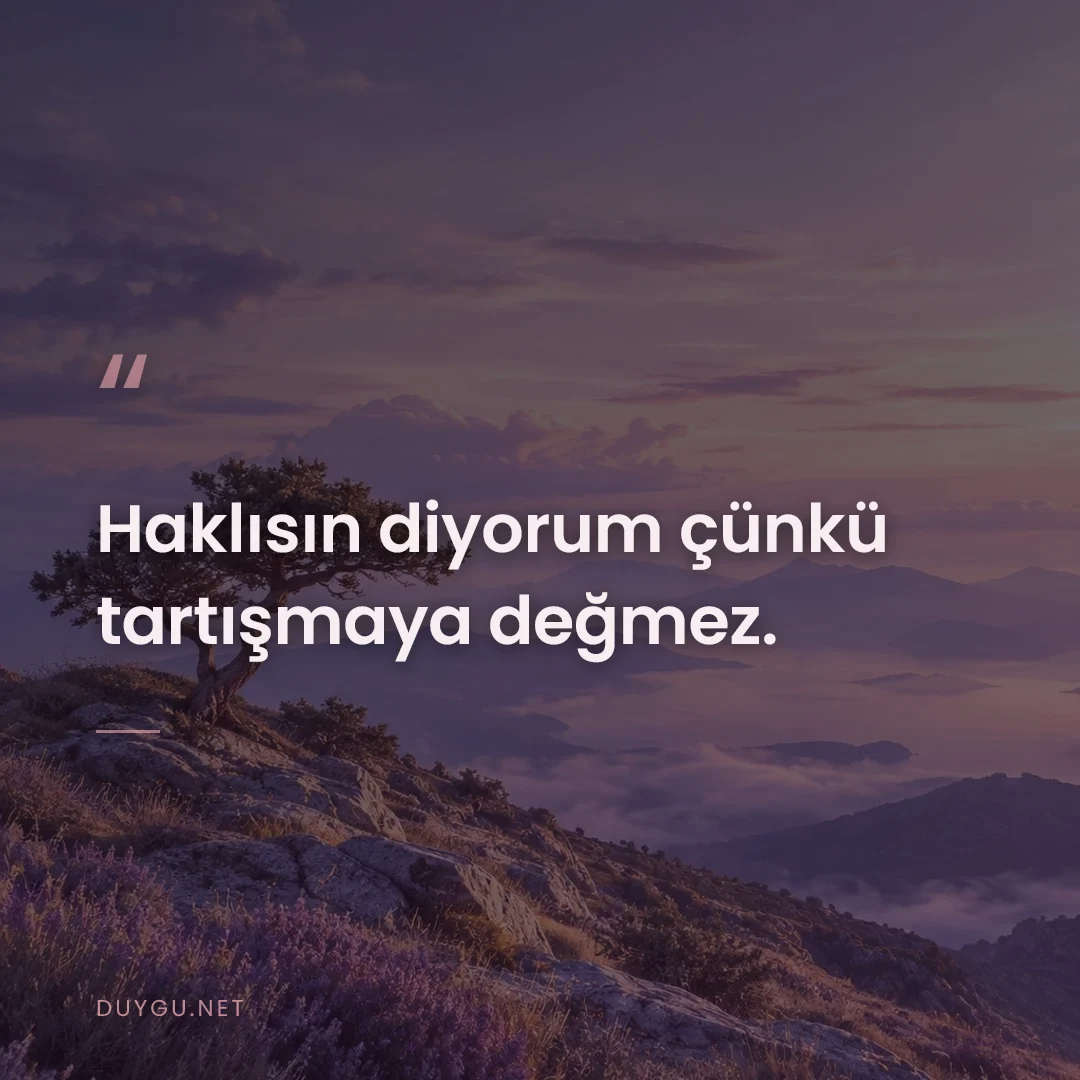 Resimli söz: Haklısın diyorum çünkü tartışmaya değmez.