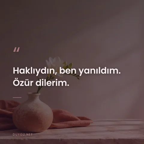 Haklıydın, ben yanıldım. Özür dilerim.
