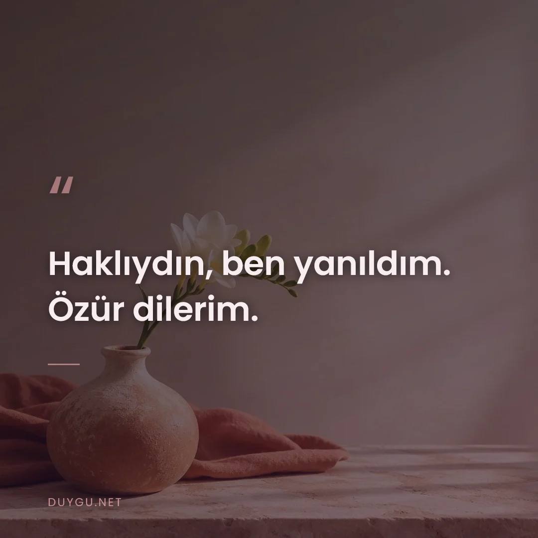 Resimli söz: Haklıydın, ben yanıldım. Özür dilerim.