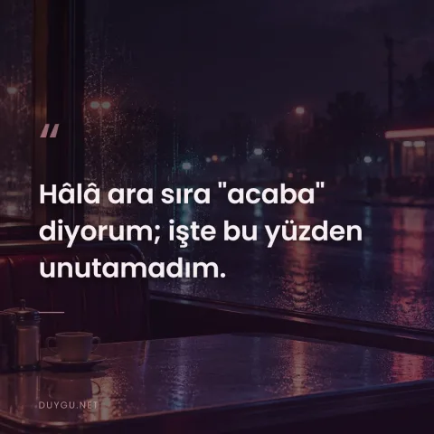 Hâlâ ara sıra "acaba" diyorum; işte bu yüzden unutamadım.