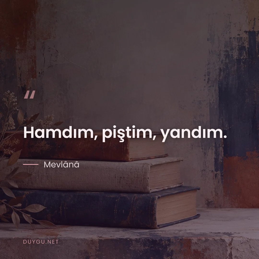 Resimli söz: Hamdım, piştim, yandım.