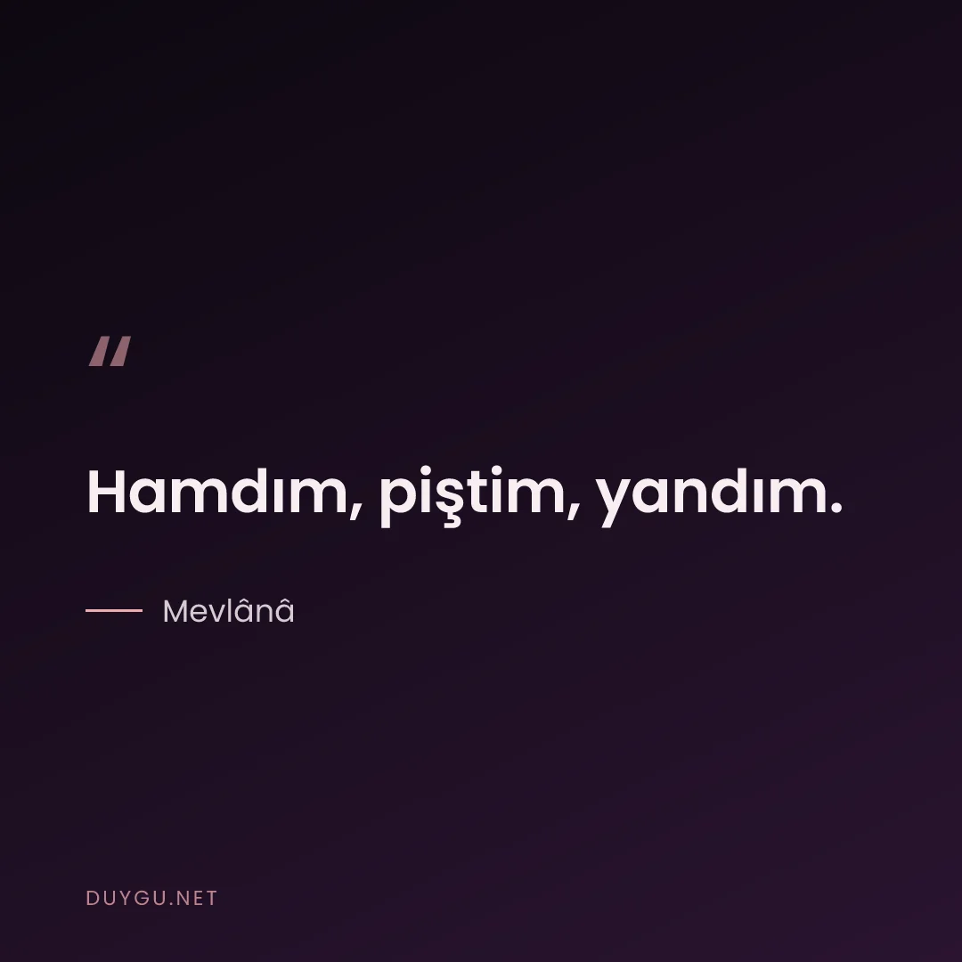 Resimli söz: Hamdım, piştim, yandım.