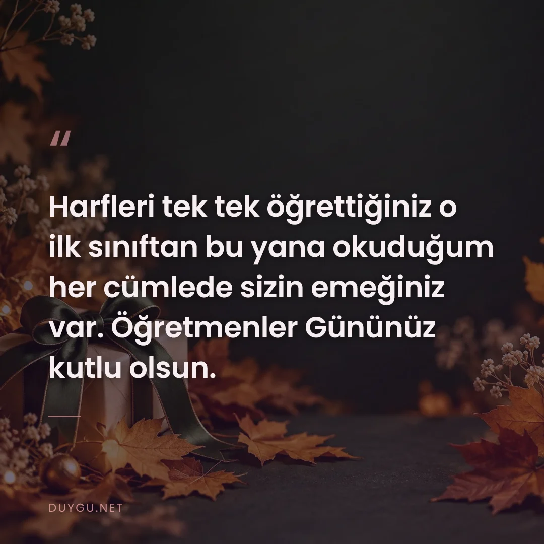 Resimli söz: Harfleri tek tek öğrettiğiniz o ilk sınıftan bu yana okuduğum her cüml