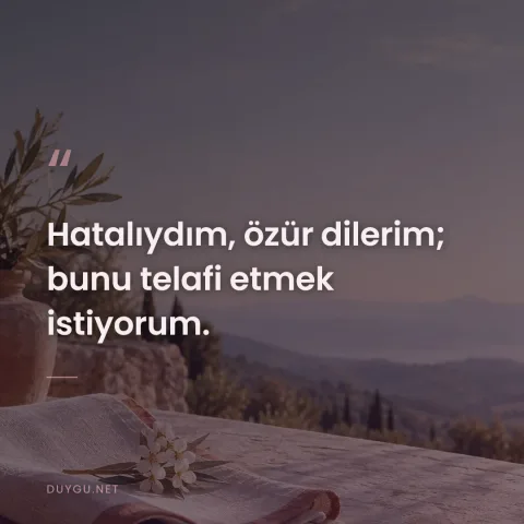 Hatalıydım, özür dilerim; bunu telafi etmek istiyorum.
