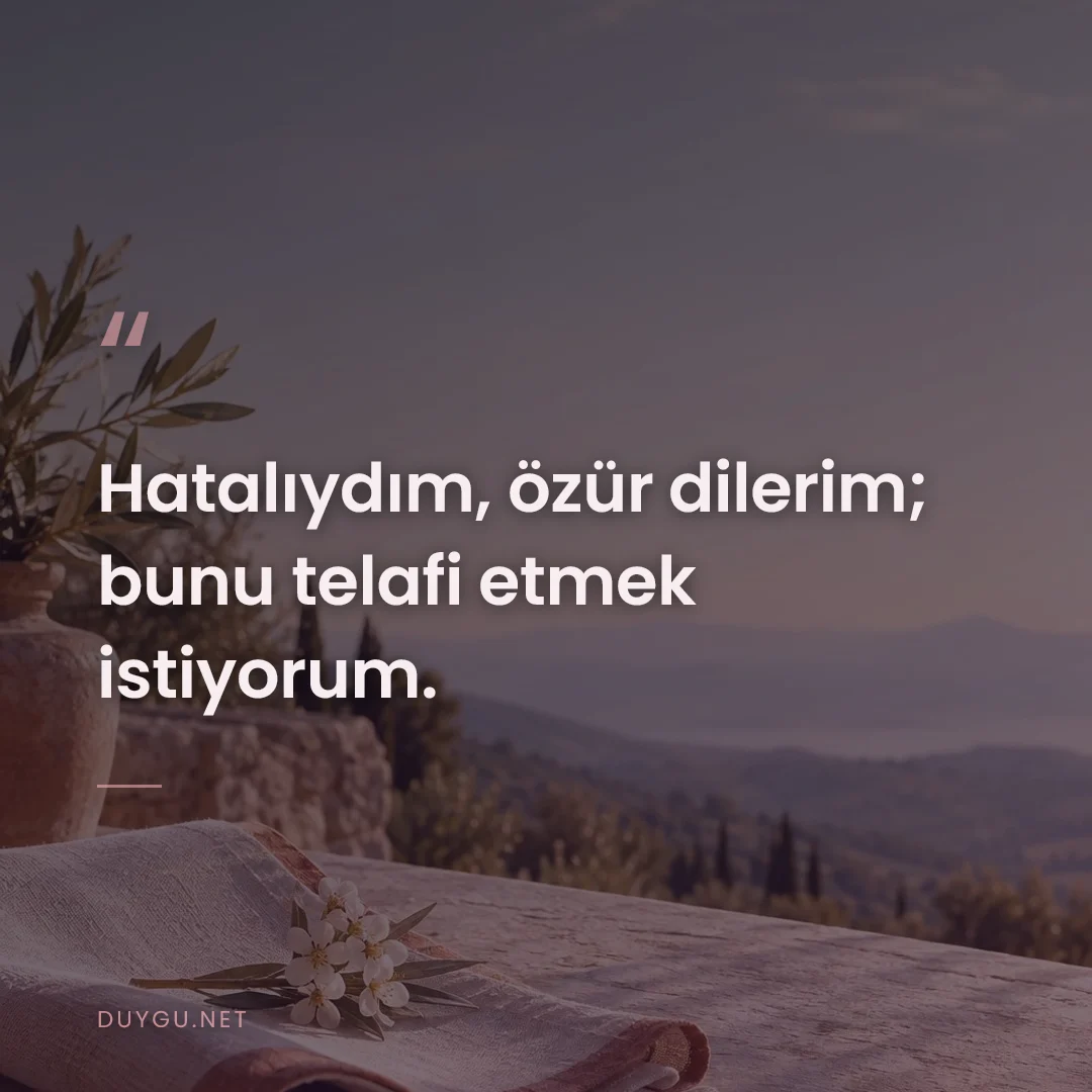 Resimli söz: Hatalıydım, özür dilerim; bunu telafi etmek istiyorum.