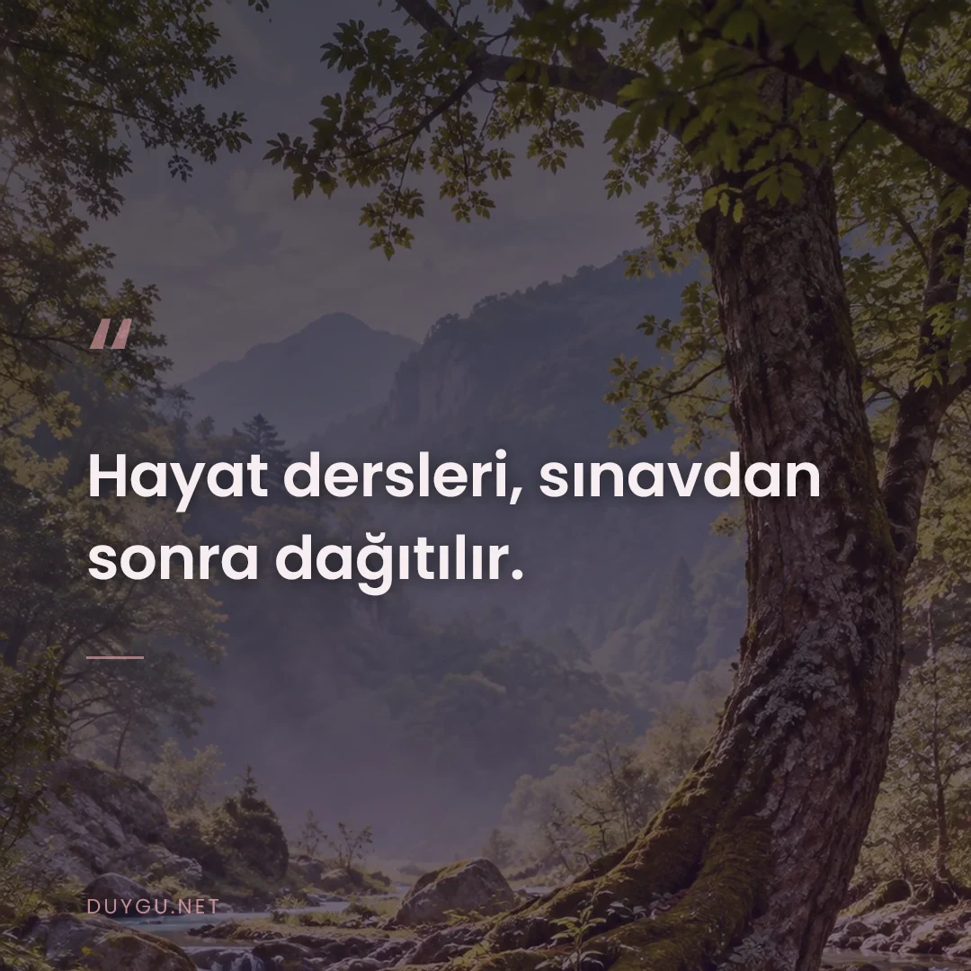 Resimli söz: Hayat dersleri, sınavdan sonra dağıtılır.