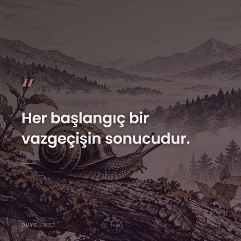 Her başlangıç bir vazgeçişin sonucudur.