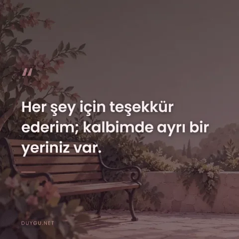 Her şey için teşekkür ederim; kalbimde ayrı bir yeriniz var.