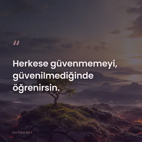 Herkese güvenmemeyi, güvenilmediğinde öğrenirsin.