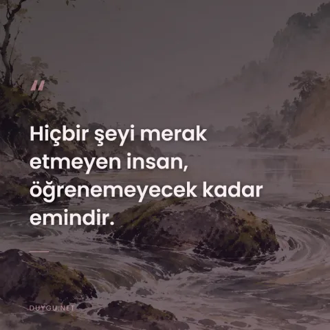 Hiçbir şeyi merak etmeyen insan, öğrenemeyecek kadar emindir.